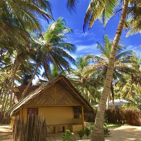 Seahorse Beach Resort 卡尔皮蒂耶 外观 照片