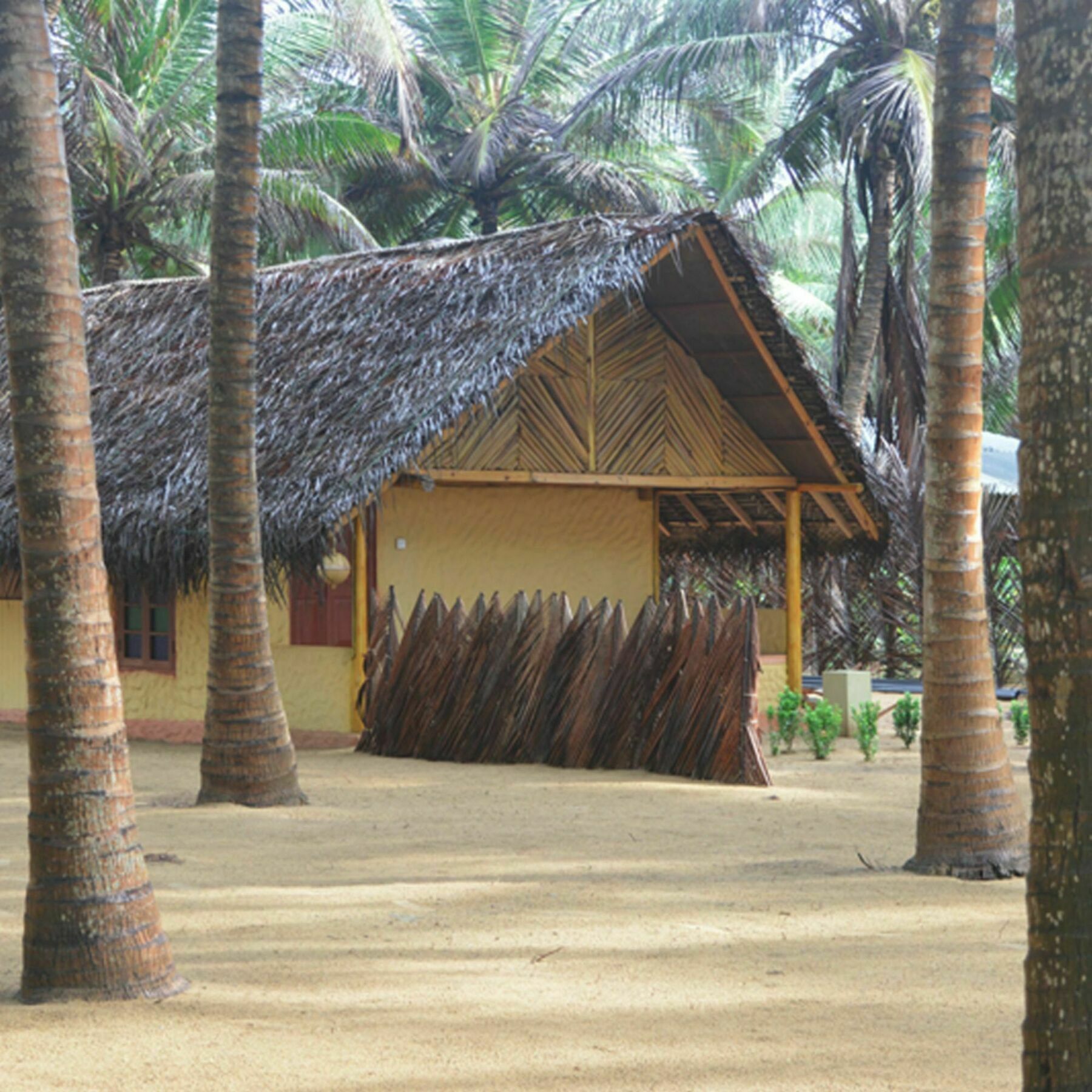 Seahorse Beach Resort 卡尔皮蒂耶 外观 照片